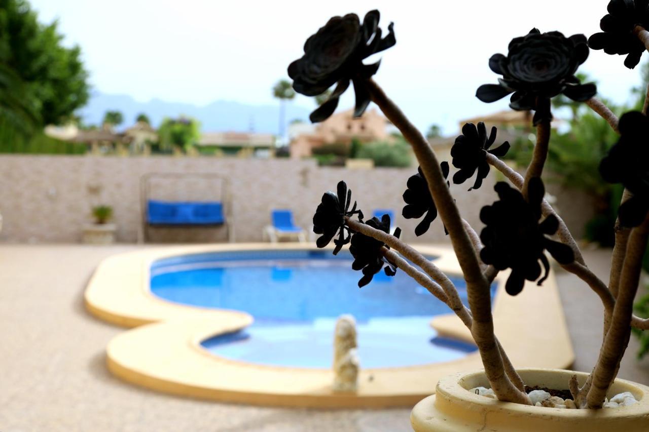 Villa Tres Palmeras En Alfaz Del Pi , Albir, Benidorm Л'Альфас-дель-Пі Екстер'єр фото